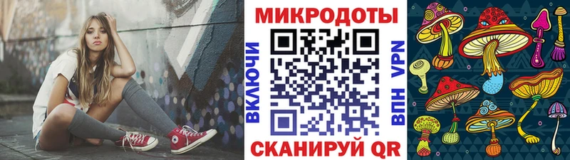 Галлюциногенные грибы Psilocybe  Купить где  Алексеевка 
